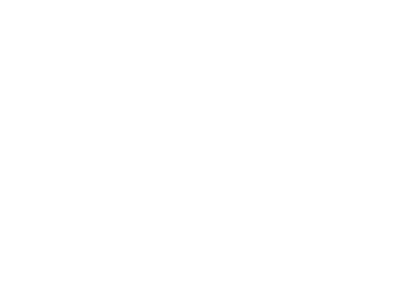 The WeStore