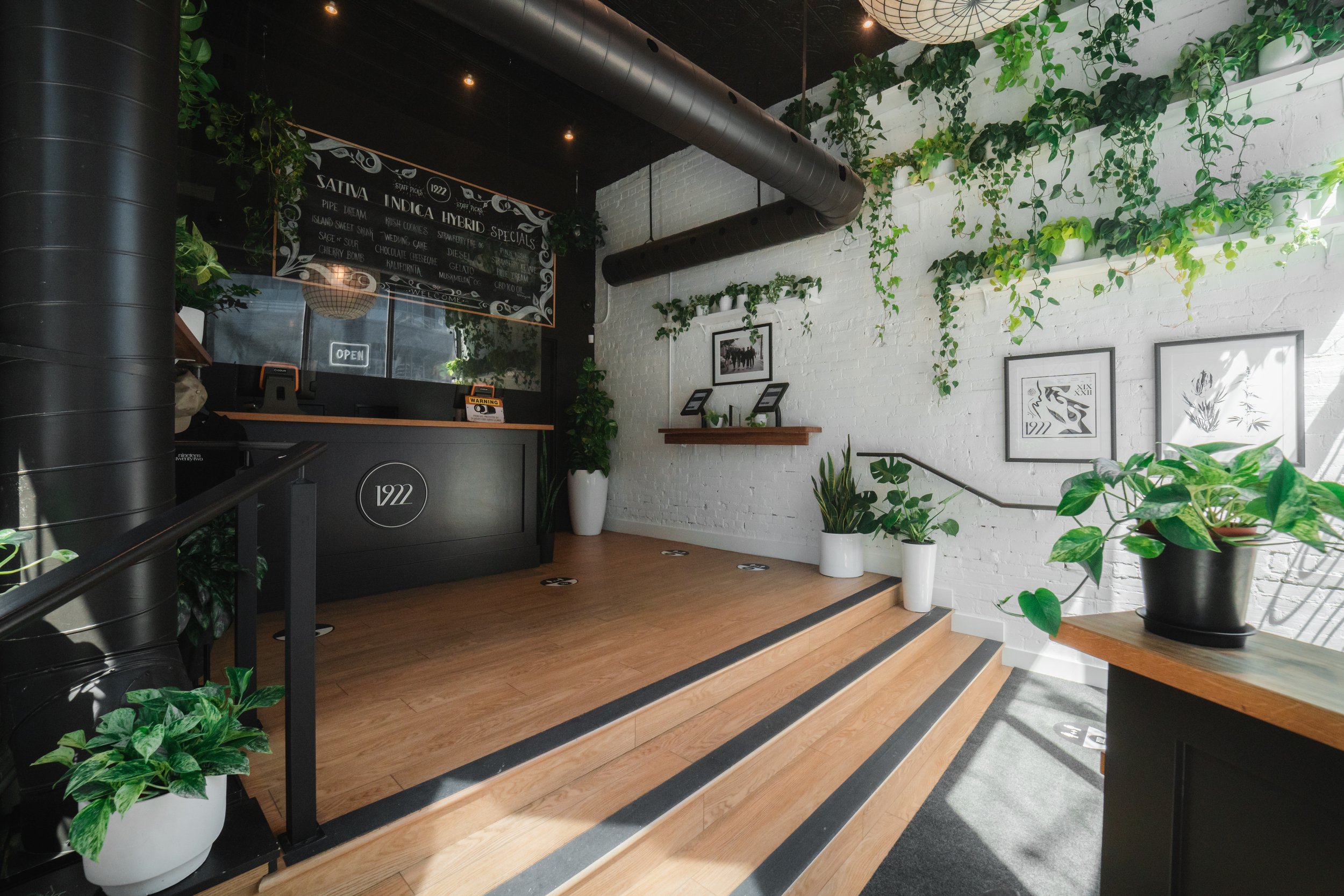 1922 Cannabis interior with a branded counter, white brick walls, and hanging plants